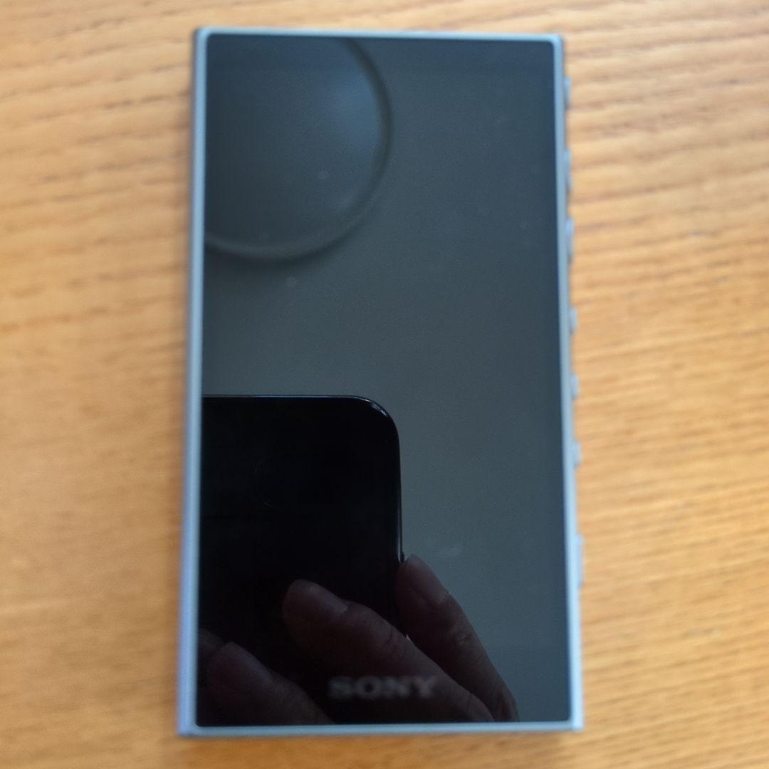 ポータブルプレーヤー SONY DEGITAL MEDIA PLAYER NW-A105
