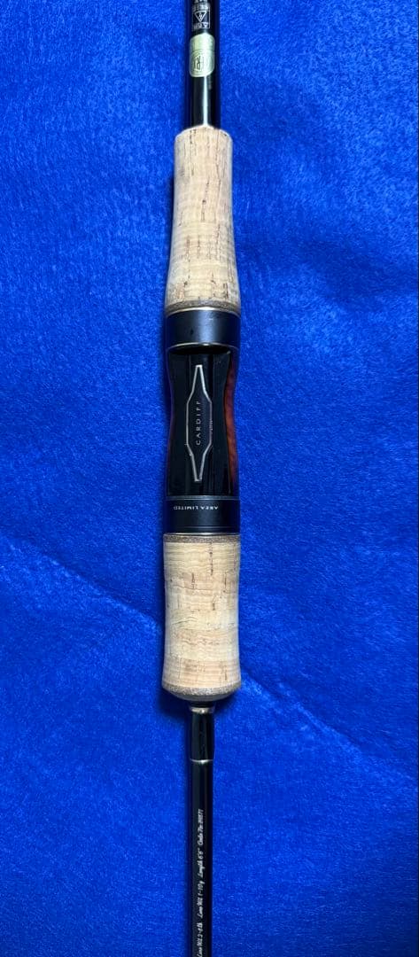 20カーディフ　エリアリミテッド　66L