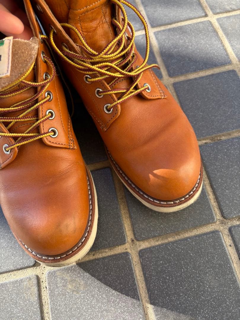 レッドウイング8D 9871 ゴールドラセット アイリッシュセッター