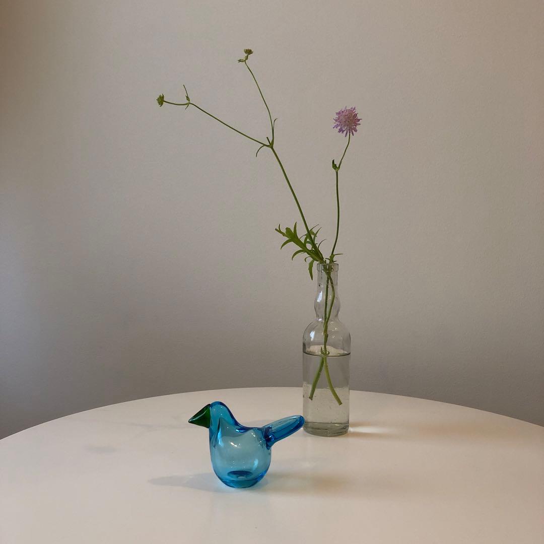 イッタラバード　シエッポ　スコープ