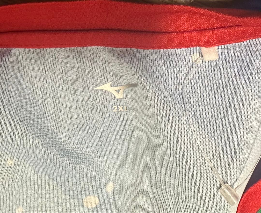 徳島ヴォルティス 2019 オーセンティック 長袖