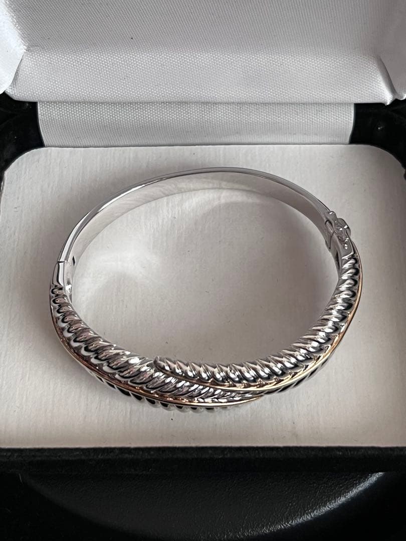 希少　Tiffany ティファニー　リーフ　フェザー　バングル　ブレスレット