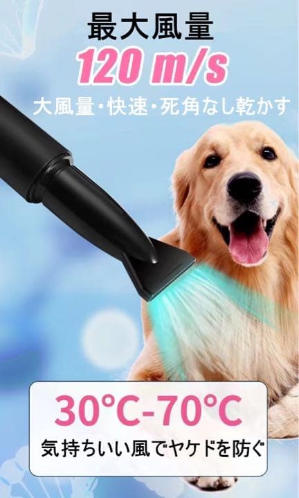 ペットドライヤー 大風量 速乾 家庭用 業務用 犬用 猫用 (ブルー)