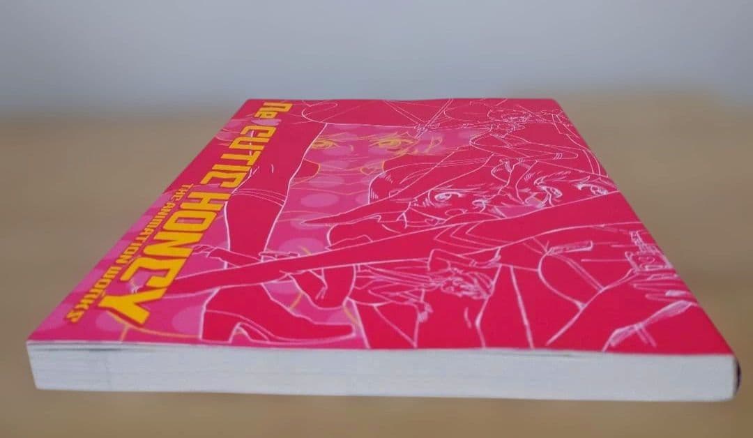 Re:キューティーハニー アニメーション原画集 GAINAX