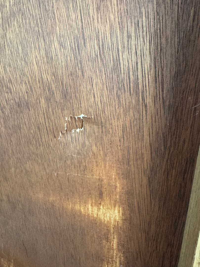 モデル展示NOR /ノル オスロリビングボード 200cm crash gate