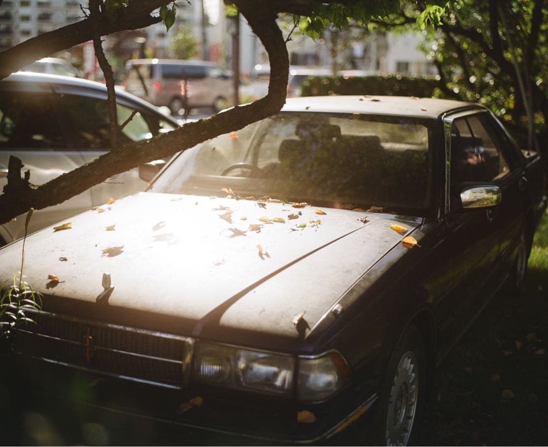 contax planar 50mm f1.4 外観きれい