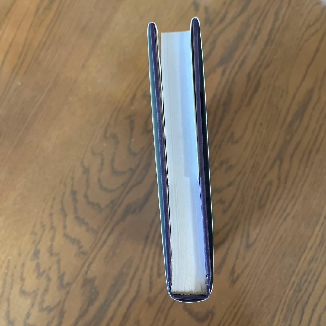 洋書 JAMES BALDWIN AND TONI MORRISON