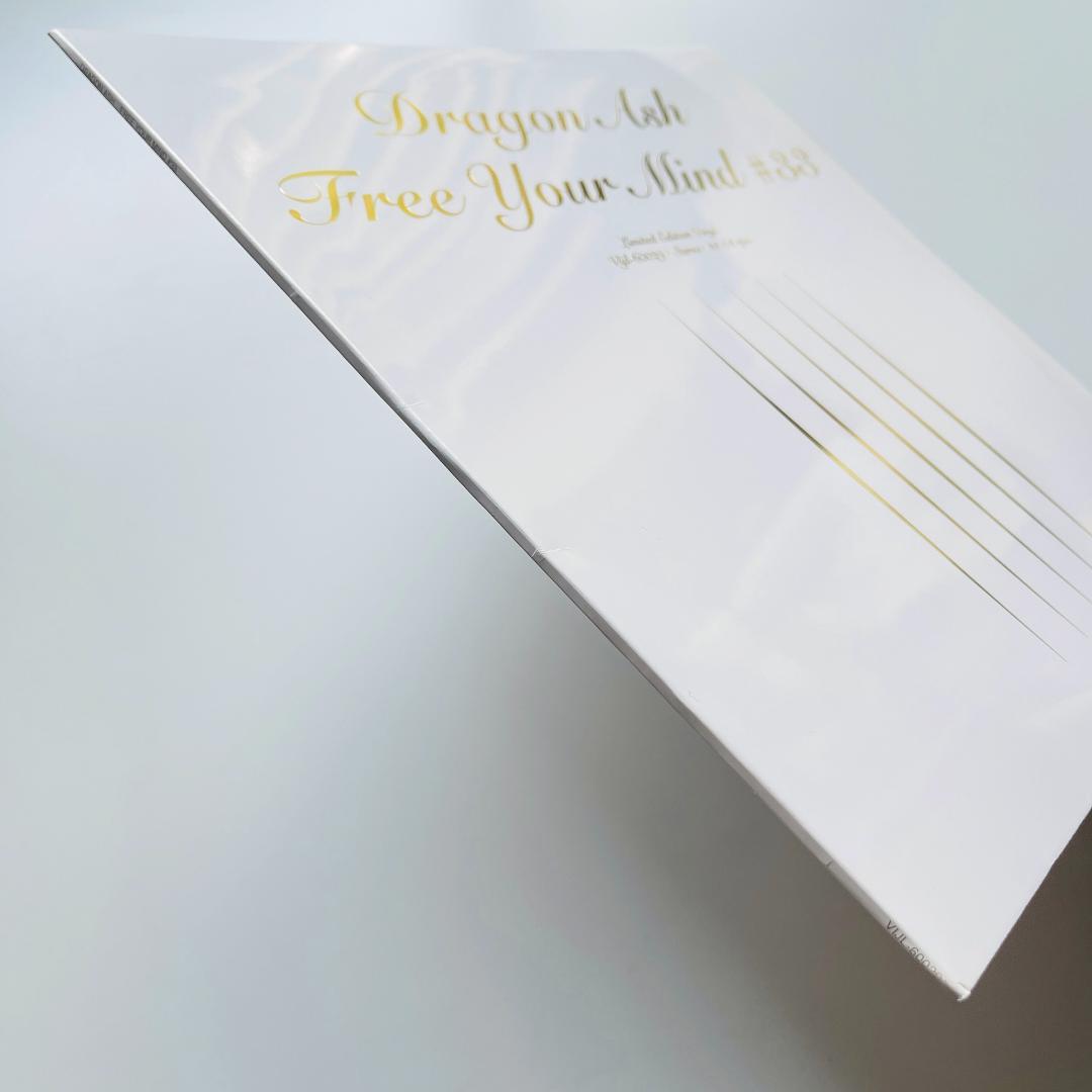 貴重 12インチレコード Dragon Ash ドラゴン・アッシュ Free-