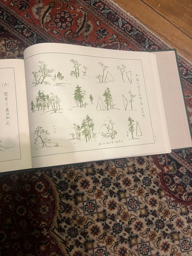 盆景教本(教授用)昭和53年 八洲庵 杉政湘雲 非売品 s19022414