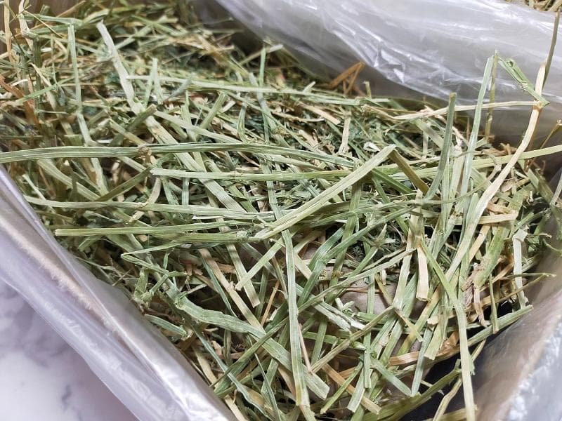 【12/30まで】 カナダ産 チモシー 50kg スーパープレミアム １番刈り