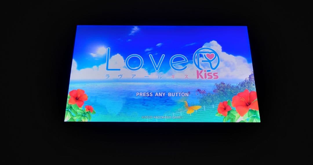 Switchソフト　LoveRKiss　ラブアールキス通常版　動作確認済み