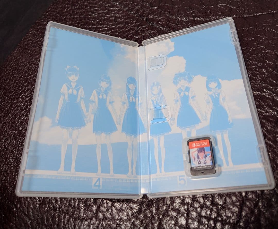 Switchソフト　LoveRKiss　ラブアールキス通常版　動作確認済み