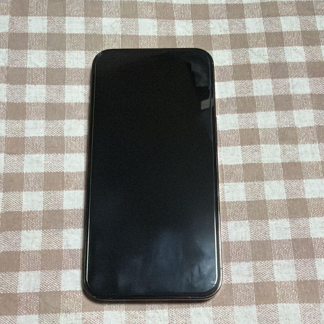 iPhone13Pro 256GB 本体のみ