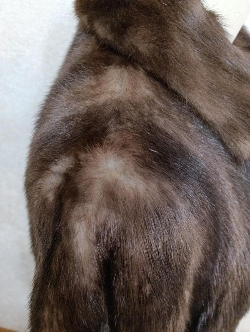 【着丈108】日本EMBA　エンバ　ブルーアイリスミンク毛皮コート　刺繍入り