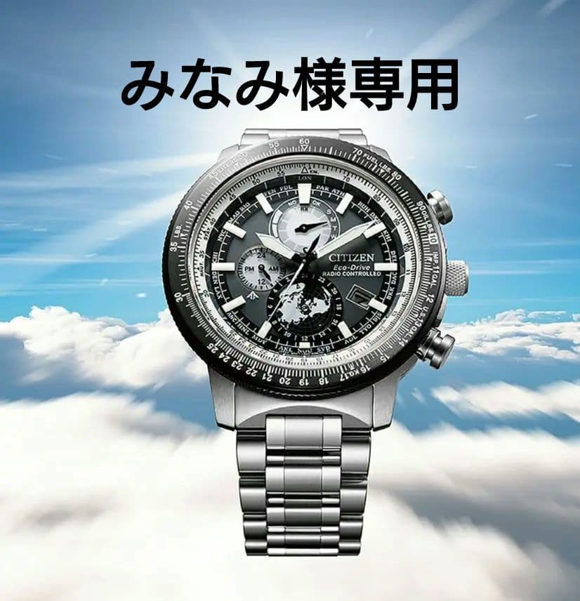 期間限定　再値下げ! CITIZEN SKYプロマスター BY3006-53H