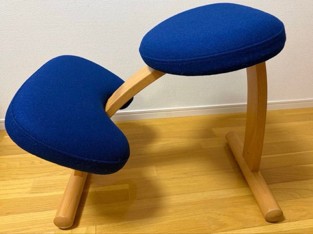 Rybo社 リボ社　［専用カバー付]　バランスチェア イージー