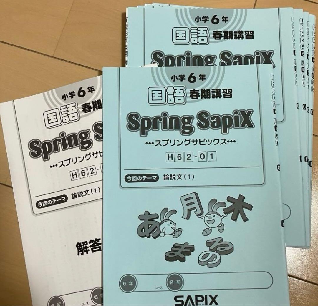 小6 国語 デイリーサピックス 24回分+春期講習•夏期講習 ウィークリーサピ他