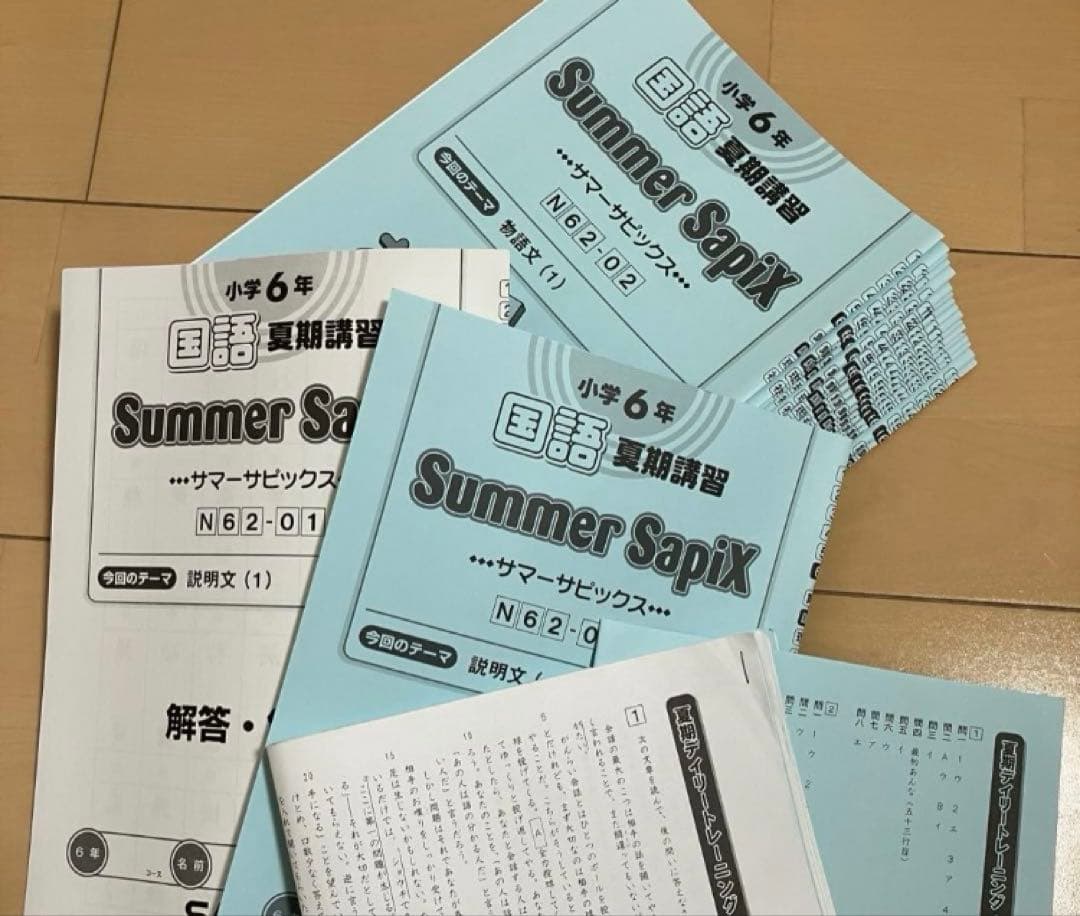 小6 国語 デイリーサピックス 24回分+春期講習•夏期講習 ウィークリーサピ他
