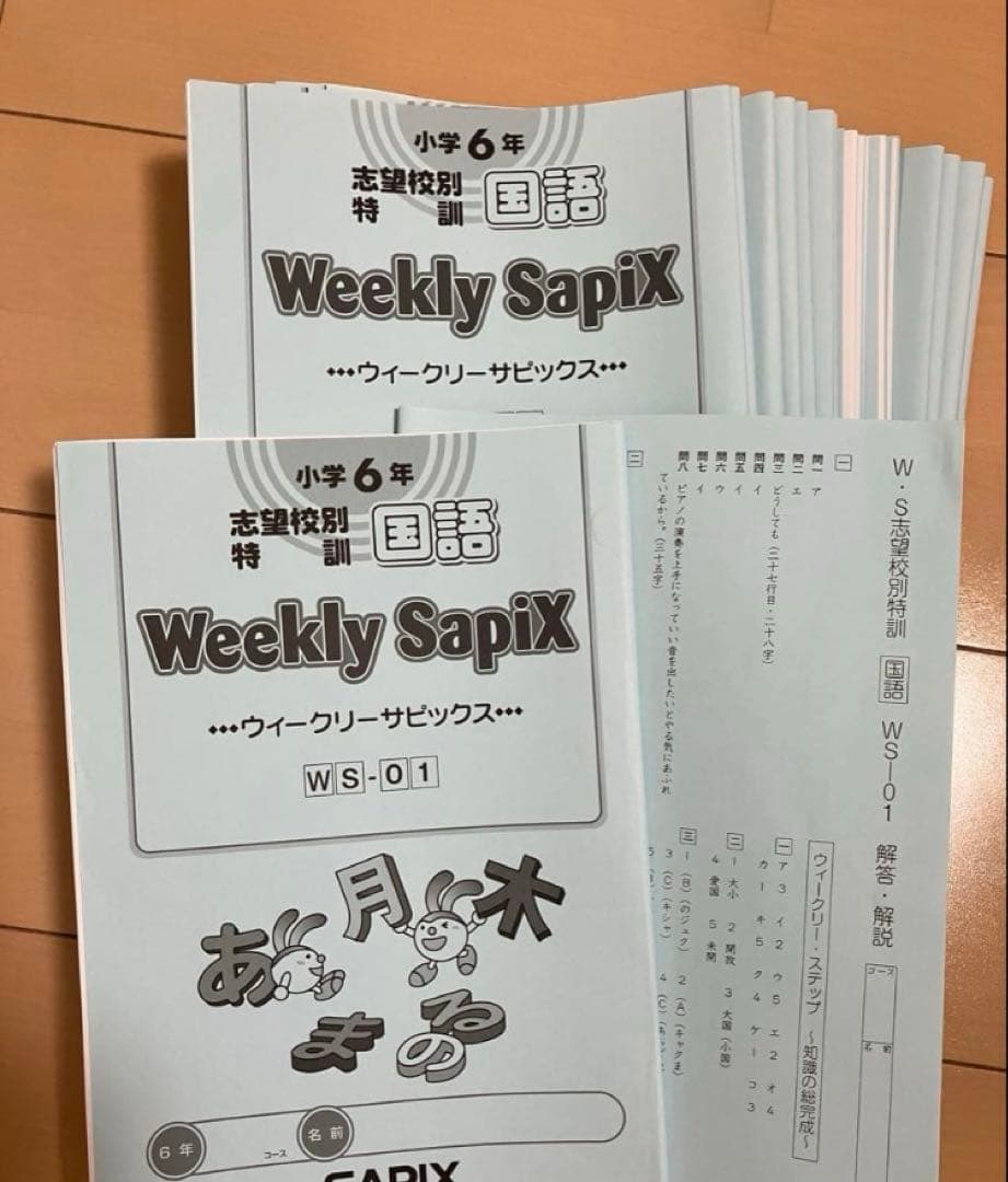 小6 国語 デイリーサピックス 24回分+春期講習•夏期講習 ウィークリーサピ他