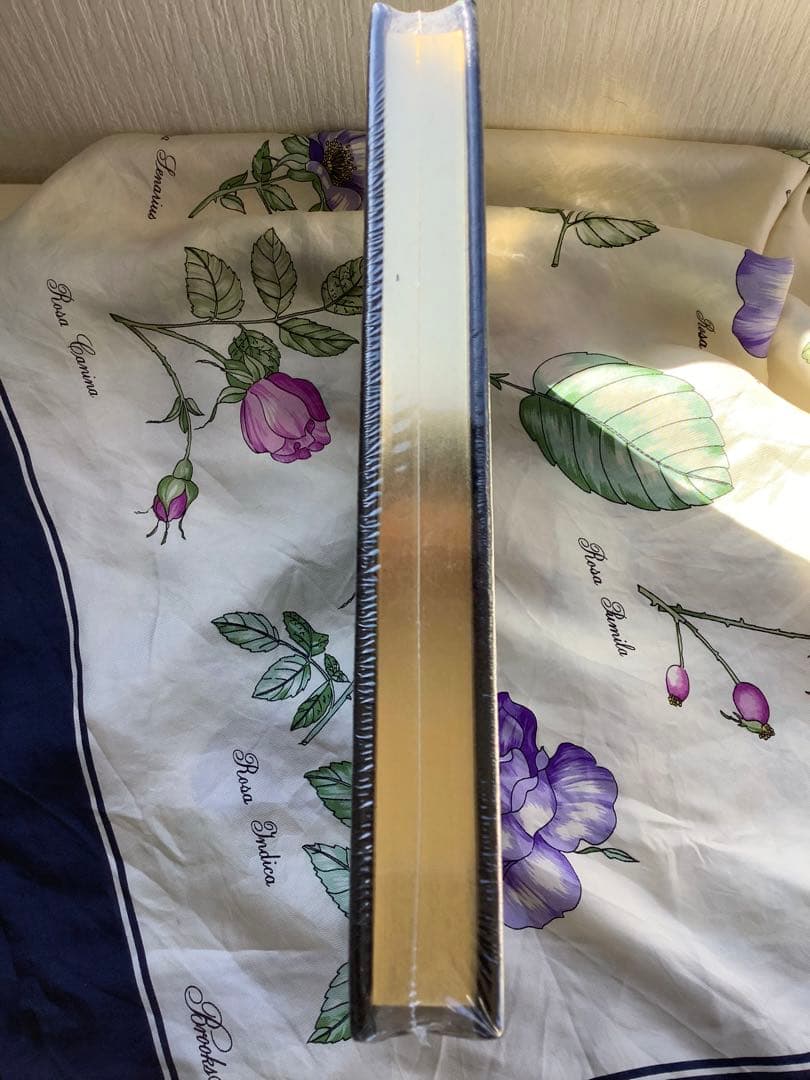 フランケンシュタイン Frankenstein by Mary Shelly