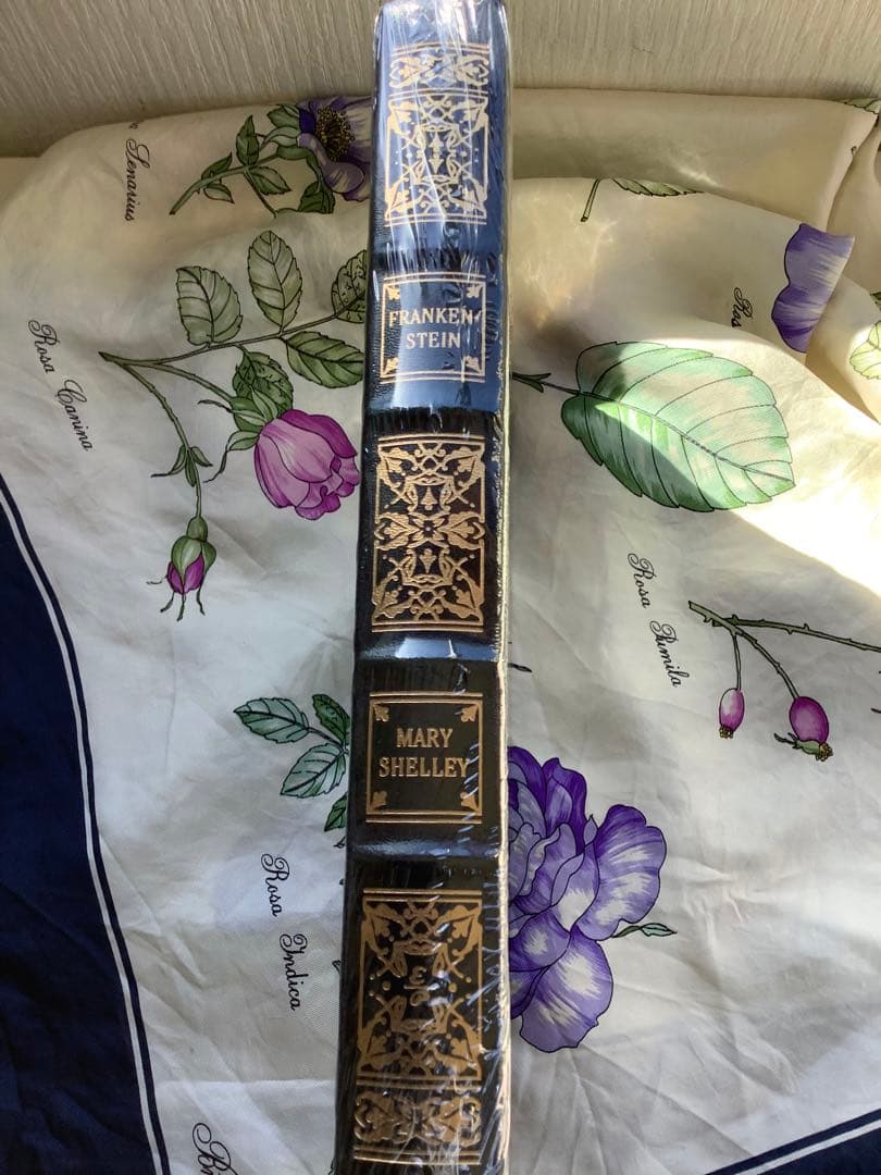 フランケンシュタイン Frankenstein by Mary Shelly