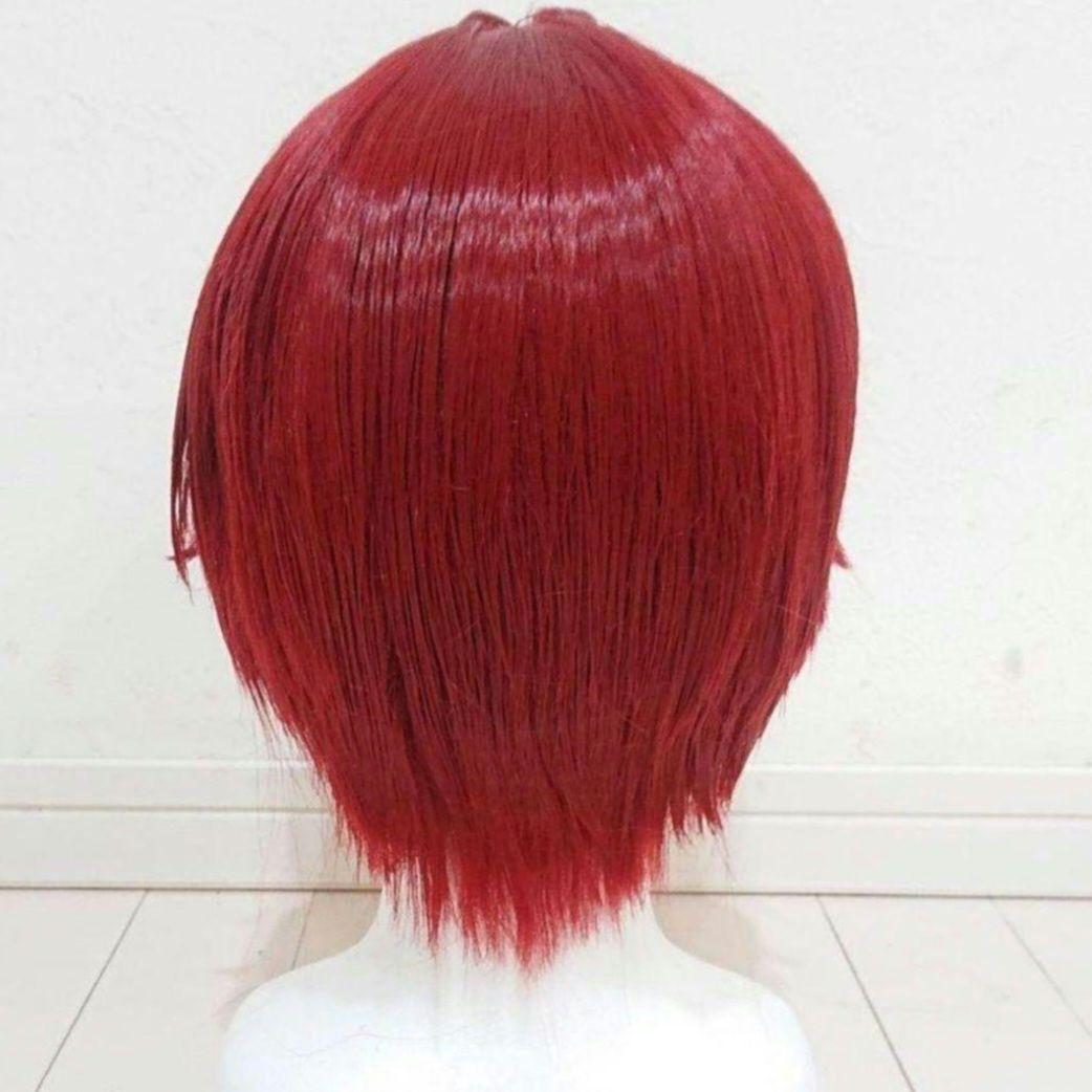 リドル&デュース　ウィッグ