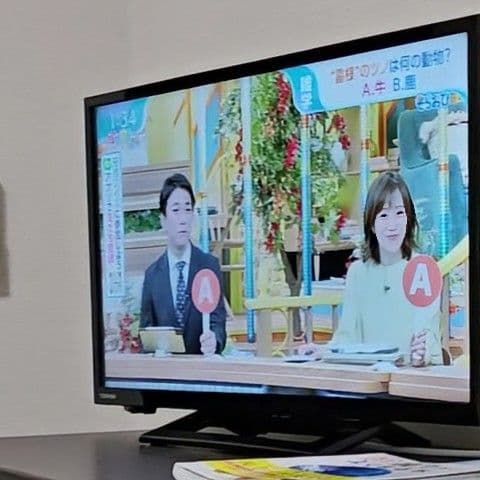 東芝 REGZA 24V型 液晶テレビ 24S24 2021年製 付属品完備