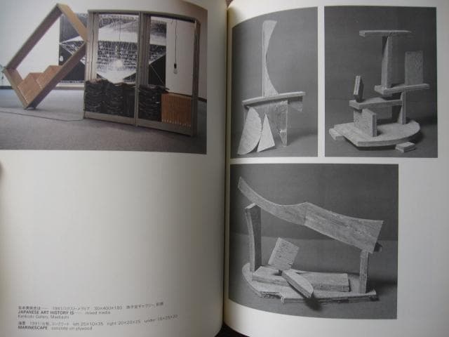 SHIRAKAWA 白川昌生　作品集