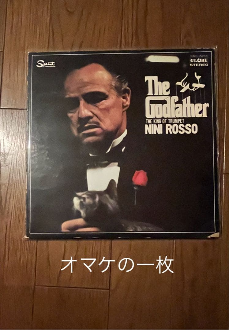 コアなHIPHOP通 名盤 30枚に一枚おまけ付き