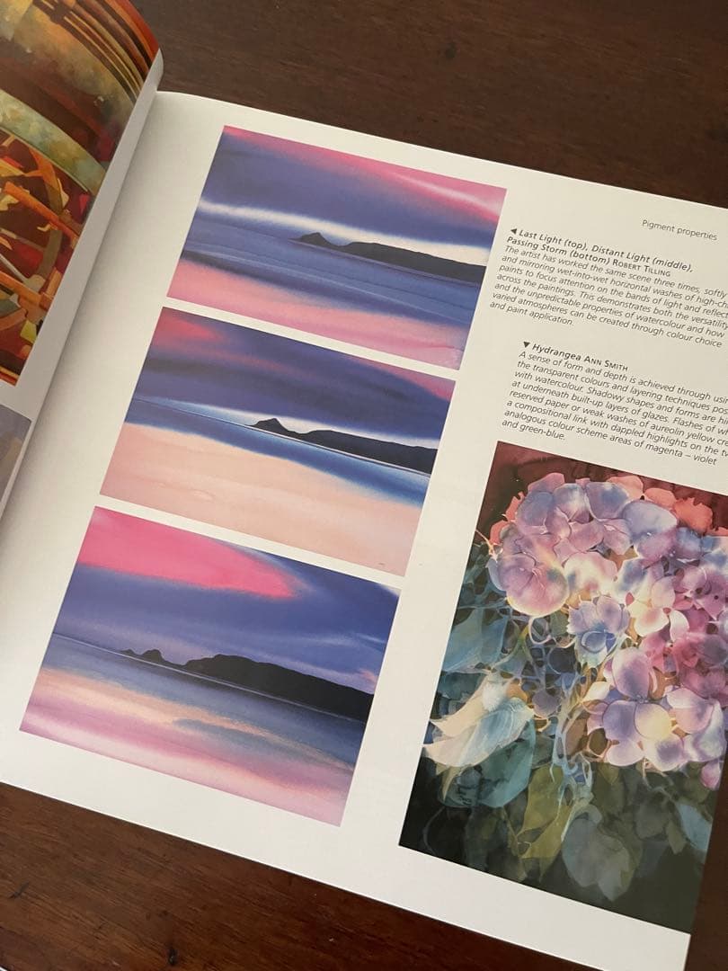 洋書:水彩画本★ the watercolour artist's gui