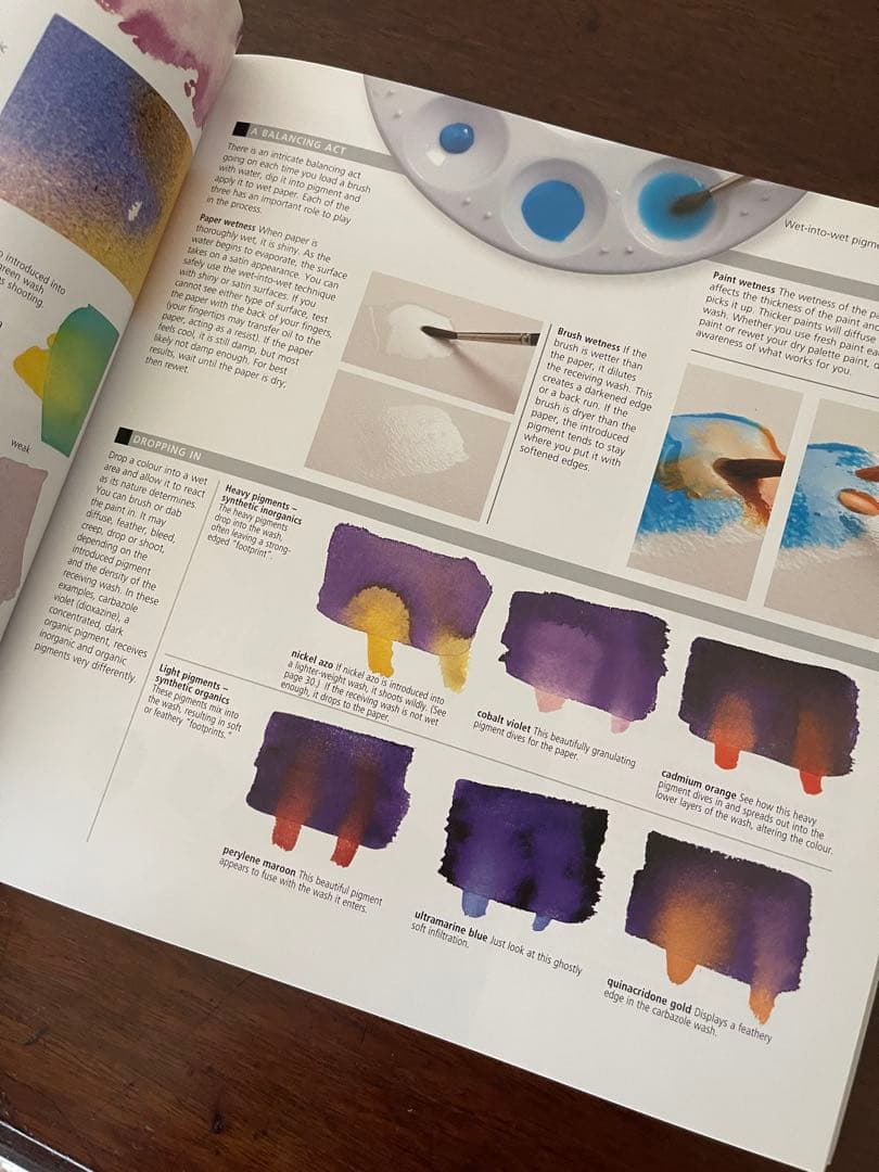 洋書:水彩画本★ the watercolour artist's gui