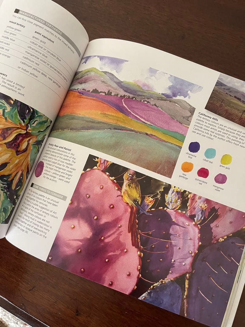 洋書:水彩画本★ the watercolour artist's gui