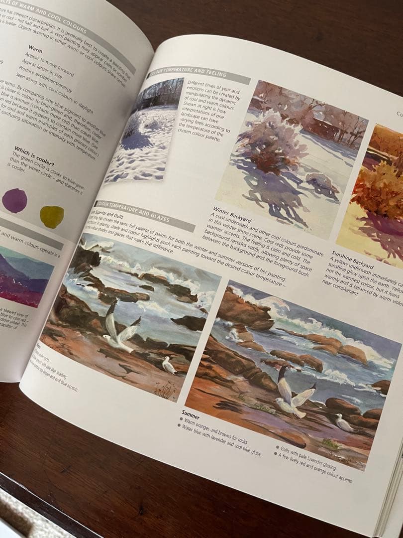 洋書:水彩画本★ the watercolour artist's gui