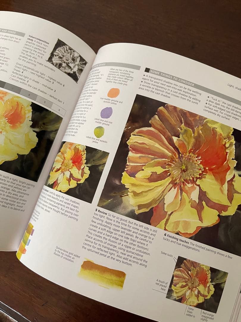 洋書:水彩画本★ the watercolour artist's gui