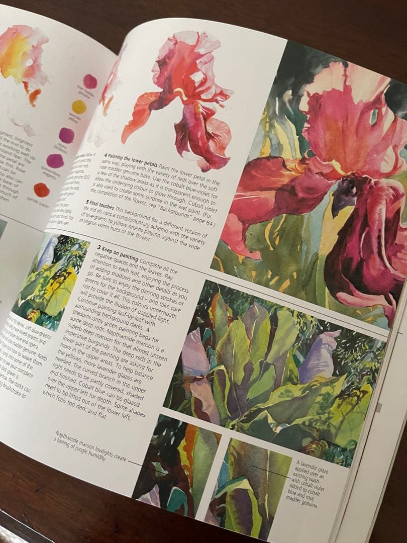 洋書:水彩画本★ the watercolour artist's gui