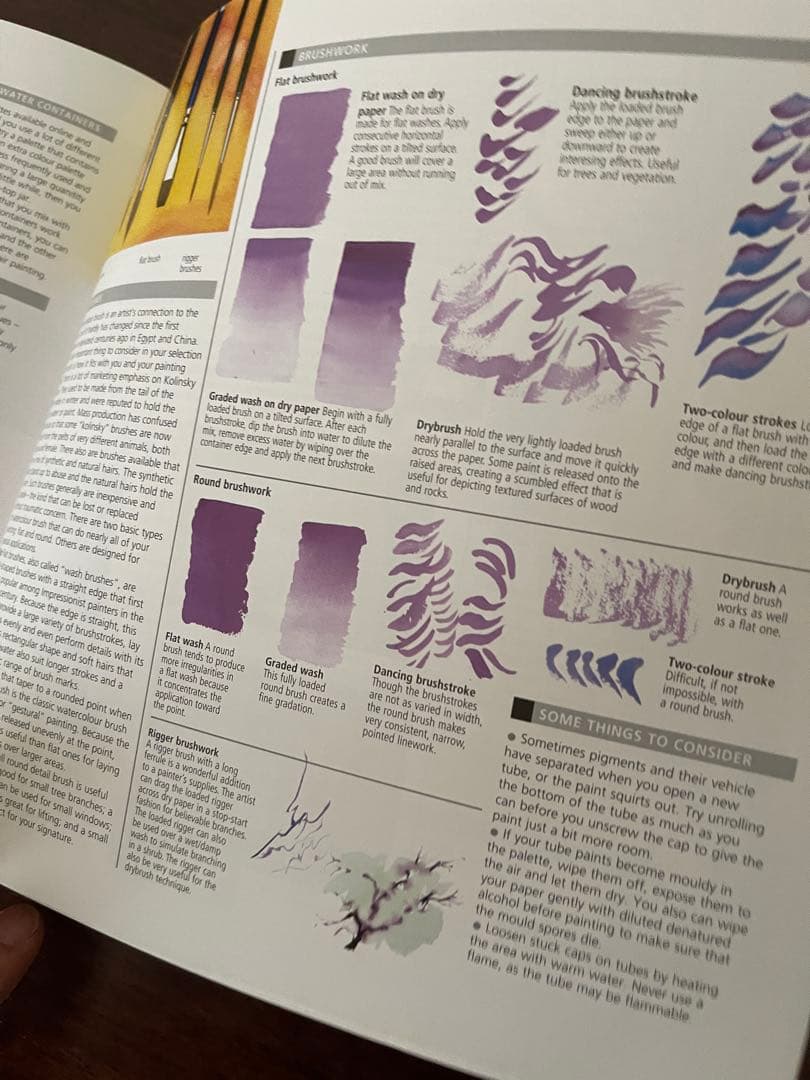 洋書:水彩画本★ the watercolour artist's gui