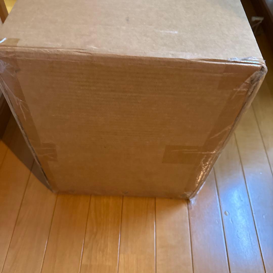 激レア入手困難品 新品 サバティカル　スカイパイロットTC