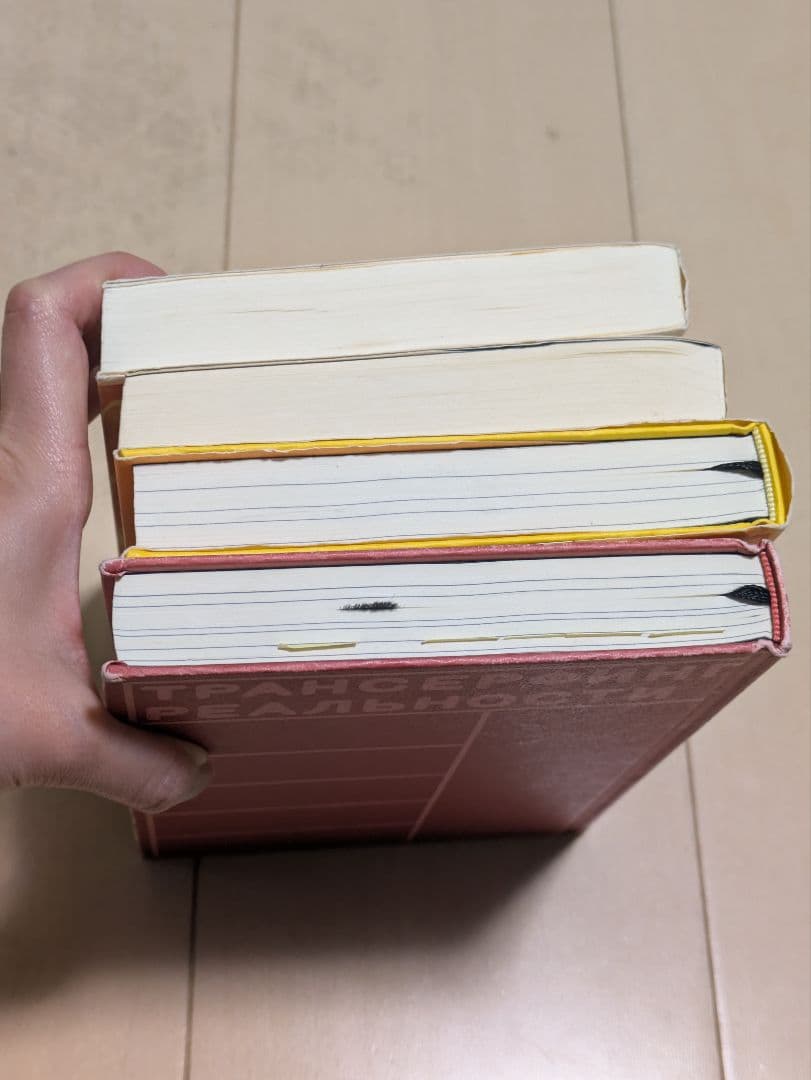 「振り子の法則」リアリティ・トランサーフィン : 幸運の波　ヴァジム ゼランド