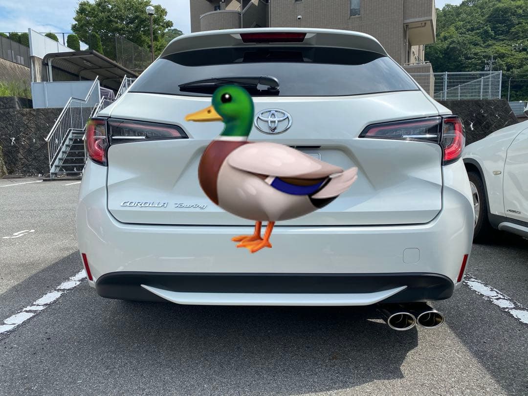 カローラツーリング　ガナドール　マフラー