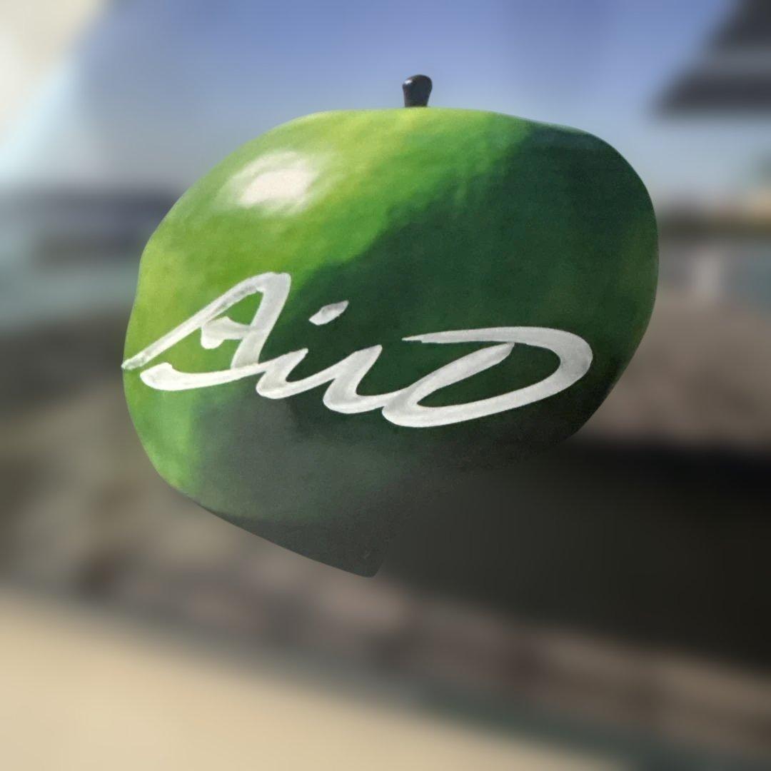 安藤忠雄直筆サイン・ドローイング付Tadao Ando | Hyogo