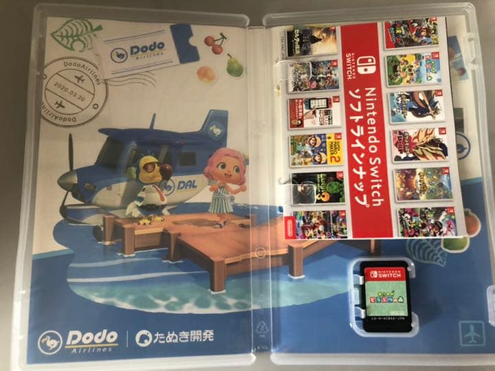 Switch Light ターコイズ、あつまれどうぶつの森、キャリングケース