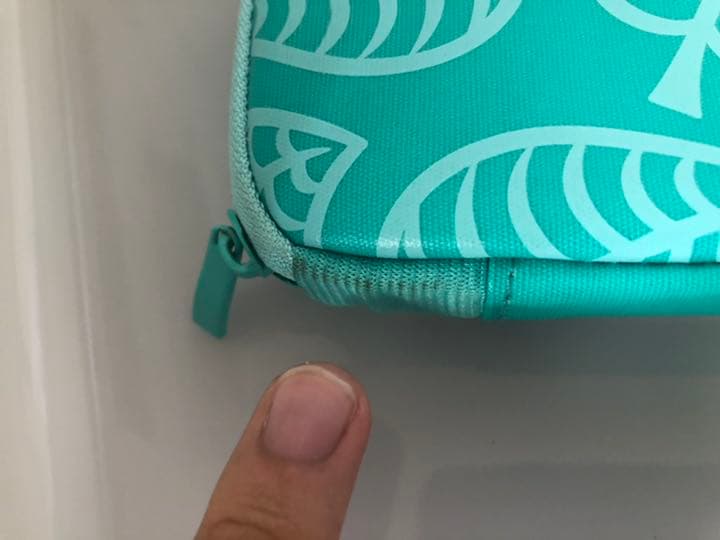 Switch Light ターコイズ、あつまれどうぶつの森、キャリングケース