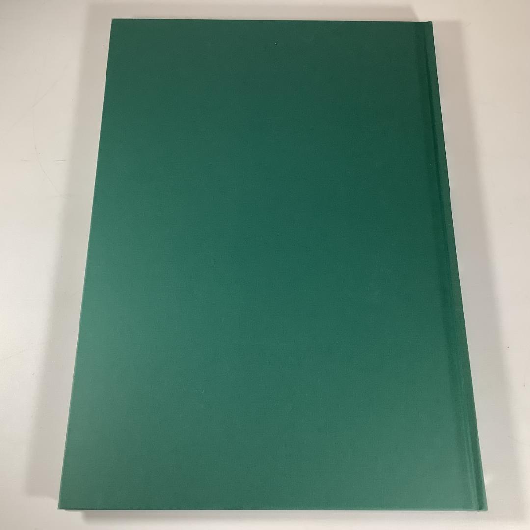 超巨大サイズ！日本名所大地図 A3超え 大迫力ビジュアル 2006年版