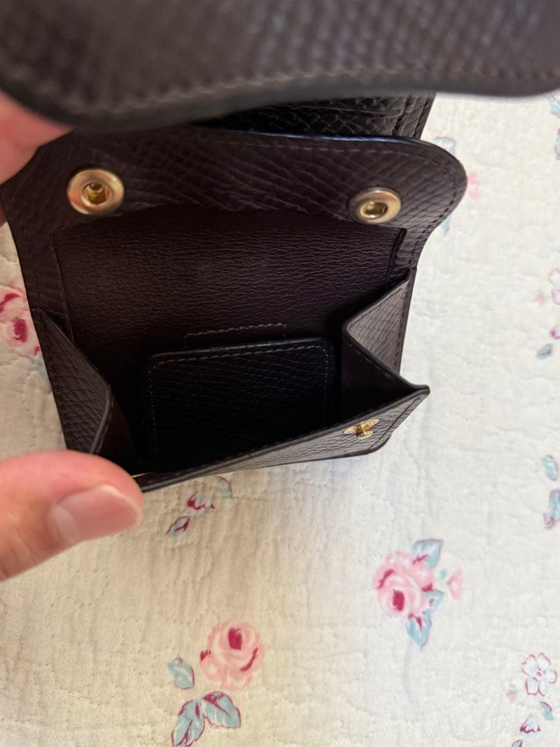 ワイルドスワンズ　イーノ