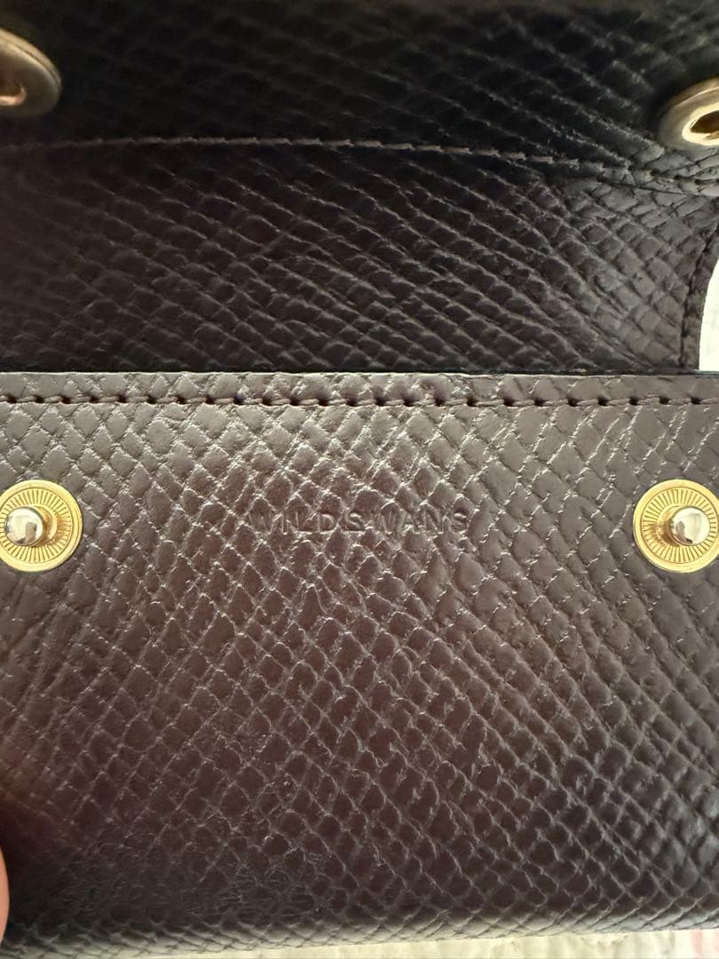 ワイルドスワンズ　イーノ