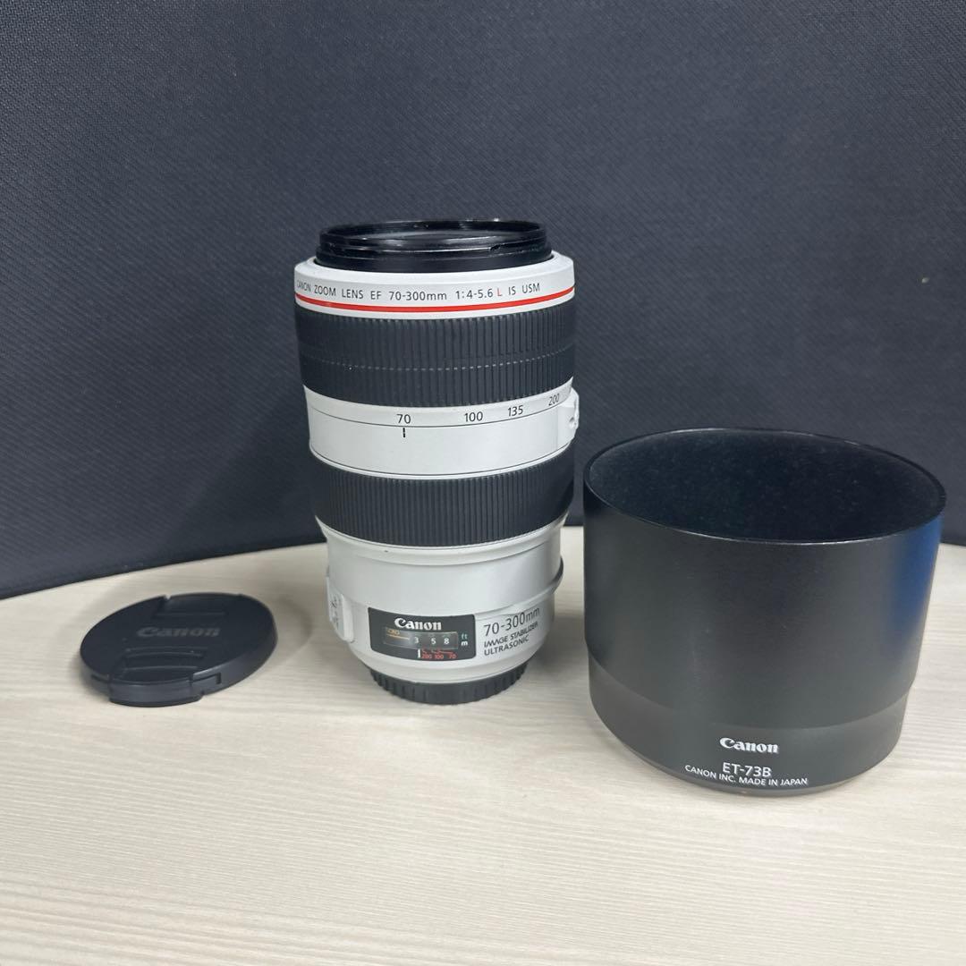 Canon EF70-300mm F4-5.6L IS USM 動作良好