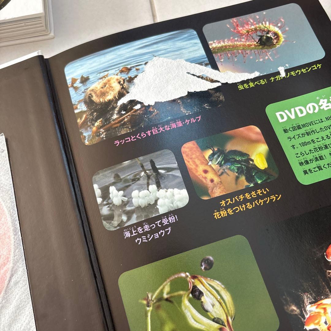 講談社 動く図鑑 MOVE 11冊セット