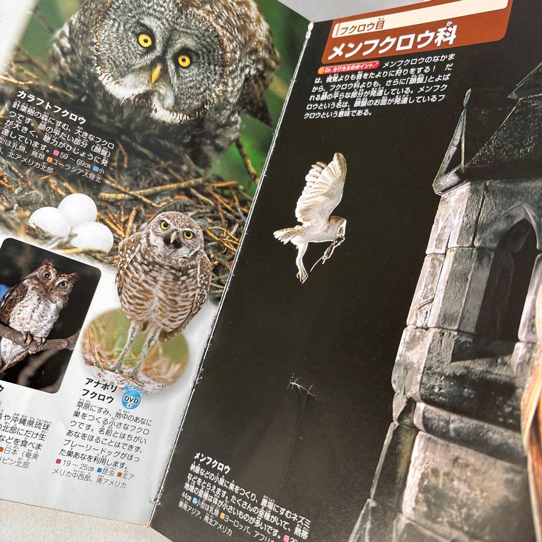 講談社 動く図鑑 MOVE 11冊セット