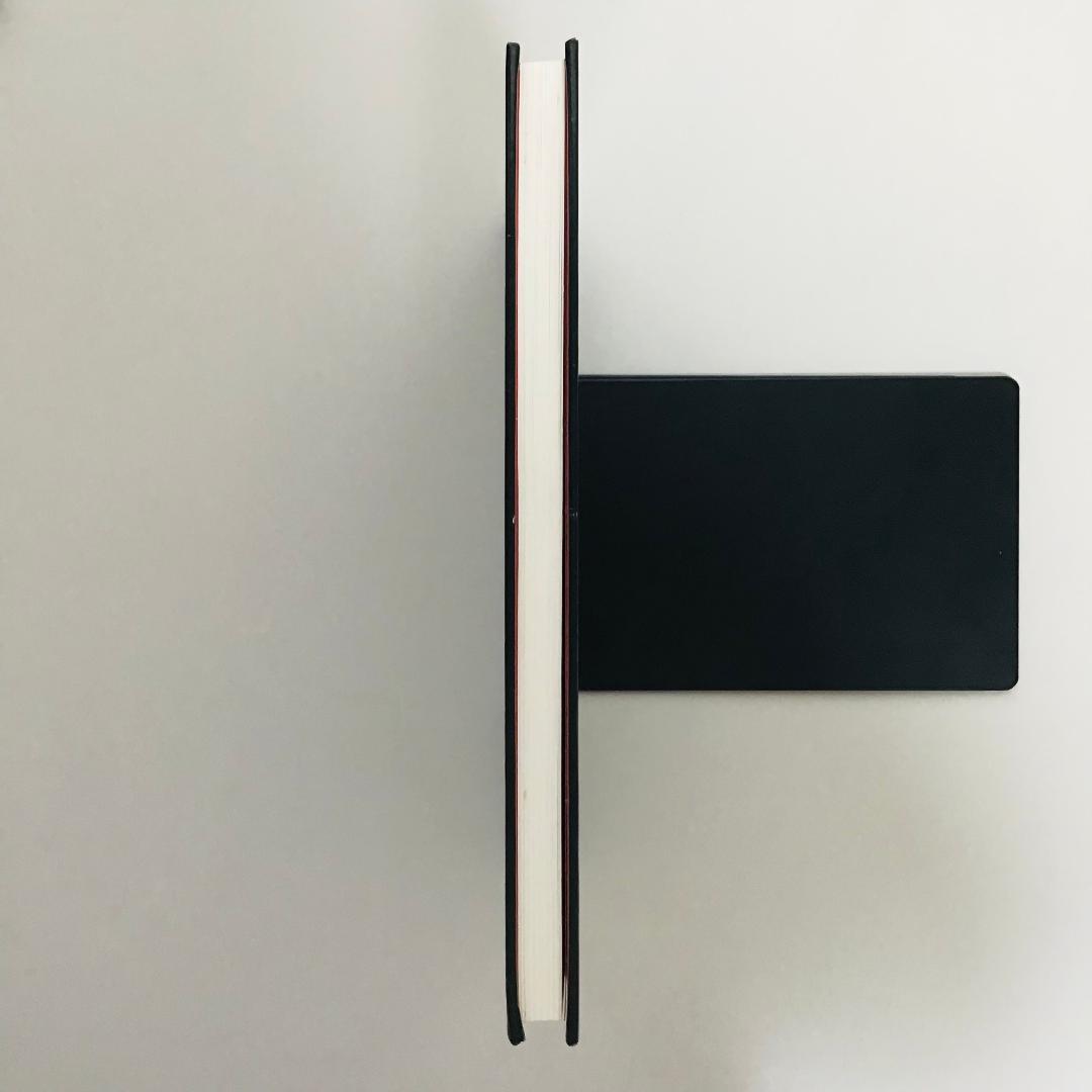 【洋書】DNA MIcroarrays and Gene Expression