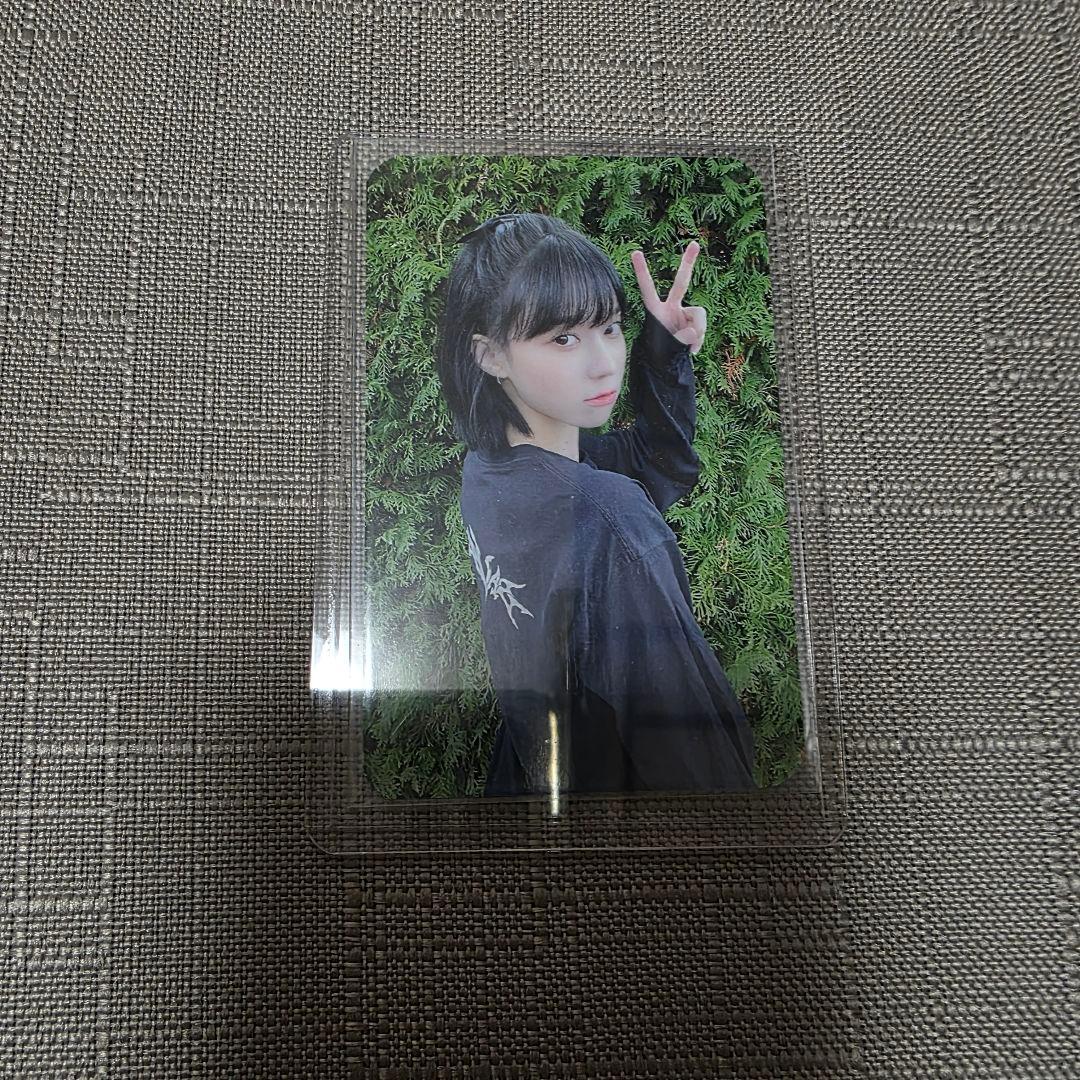 aespa savage Deluxe box ウィンター トレカ